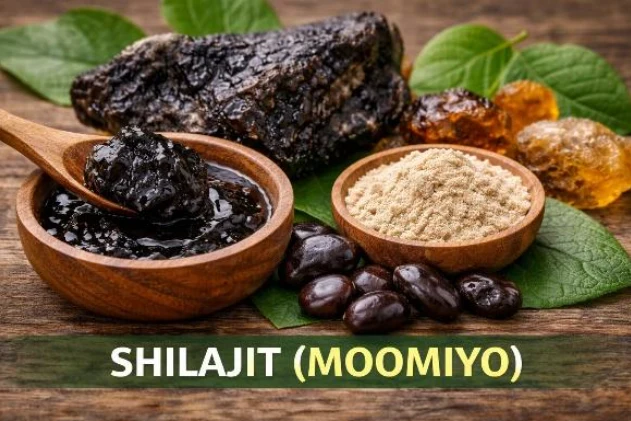 BreathEaseX™ Shilajit ingredient